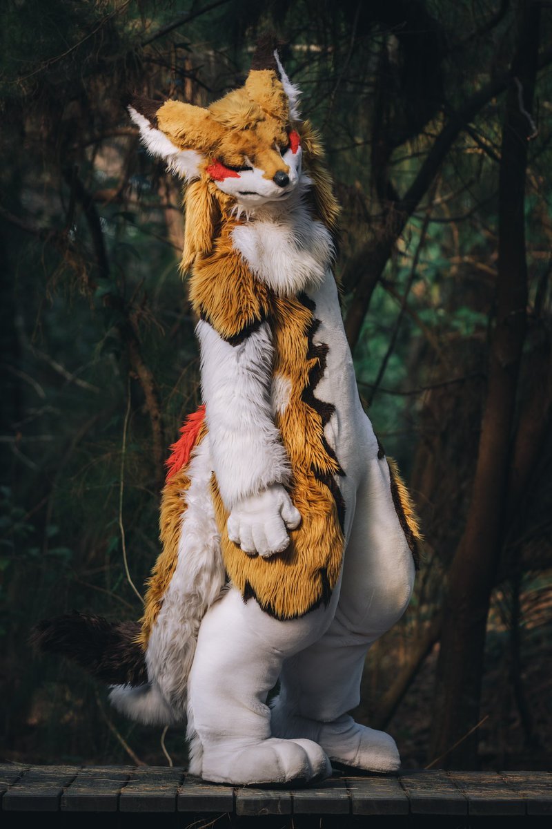 この静かな晴れた天気を楽しんでいるのは、君がそばにいてくれるからこそ大切なんだ
#FursuitsFriday #Fursuit #FursuitEverday