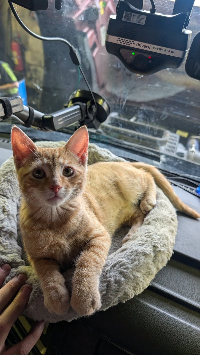 ReinkDesigns tweet media