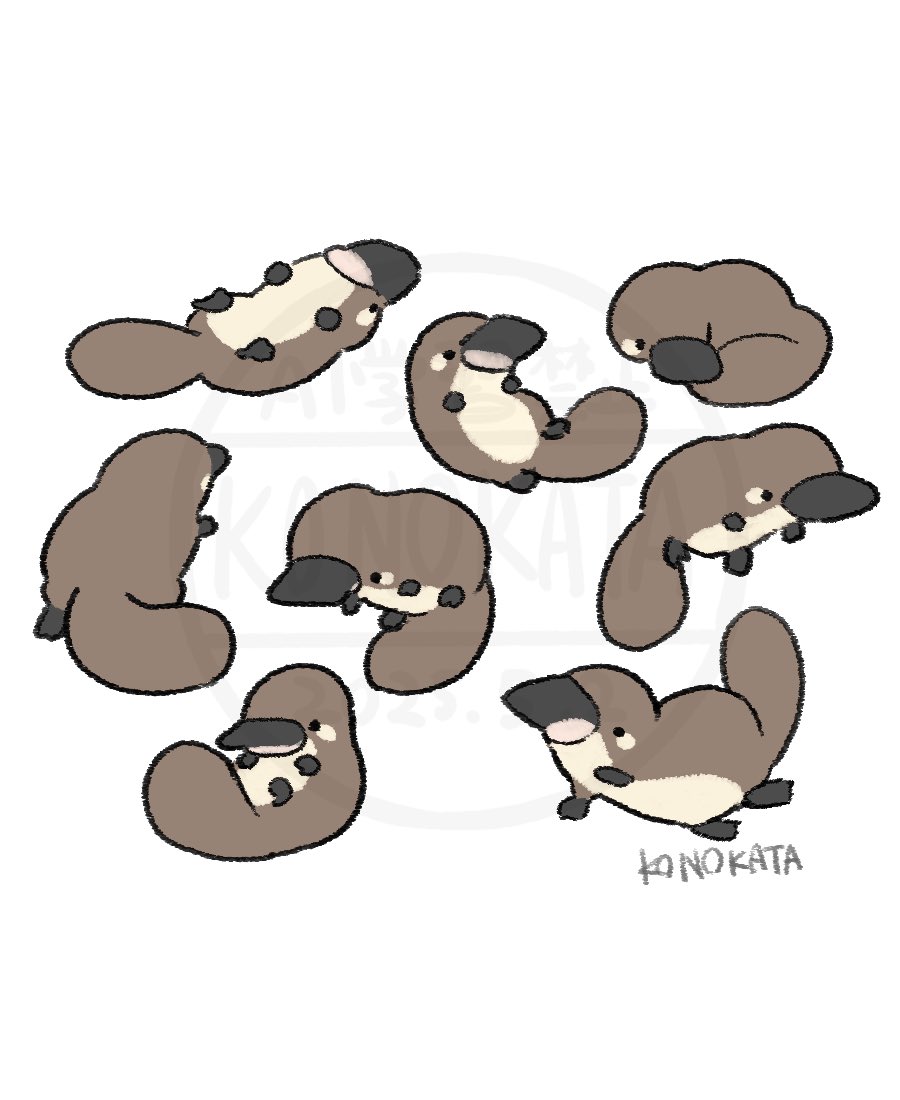 カモノハシ