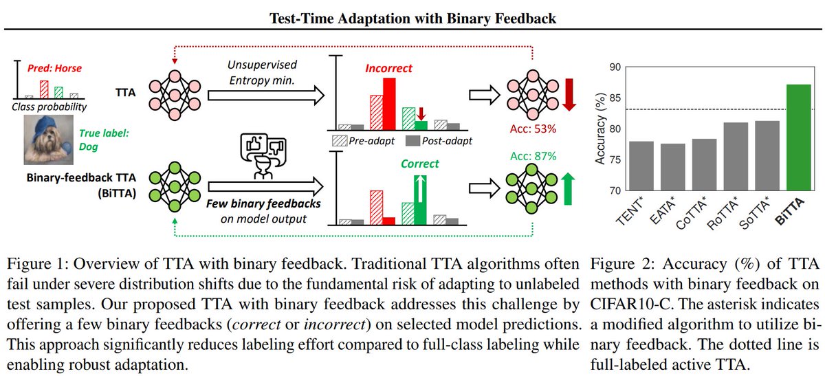taeckyung_lee's tweet image. We&apos;re happy to announce that our work on test-time adaptation with binary feedback has been accepted to #ICML2025!

We will discuss how we can utilize human feedback for TTA.

Special thanks to collaborators
@sornswgn @JunsuKim97 @jinwoos0417 @Taesik_MobileAI @wewantsj !!