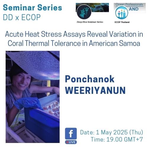 MYucharoen's tweet photo. To align with @OceanDecadeECOP mission on ocean literacy, we (thailand node) provide seminar series, start on May/June 2025 contributing from Thai ECOPs who are studying in other countries #MarineSci #ECOPThailand #SDG14 https://t.co/Ax7I7WkAbV