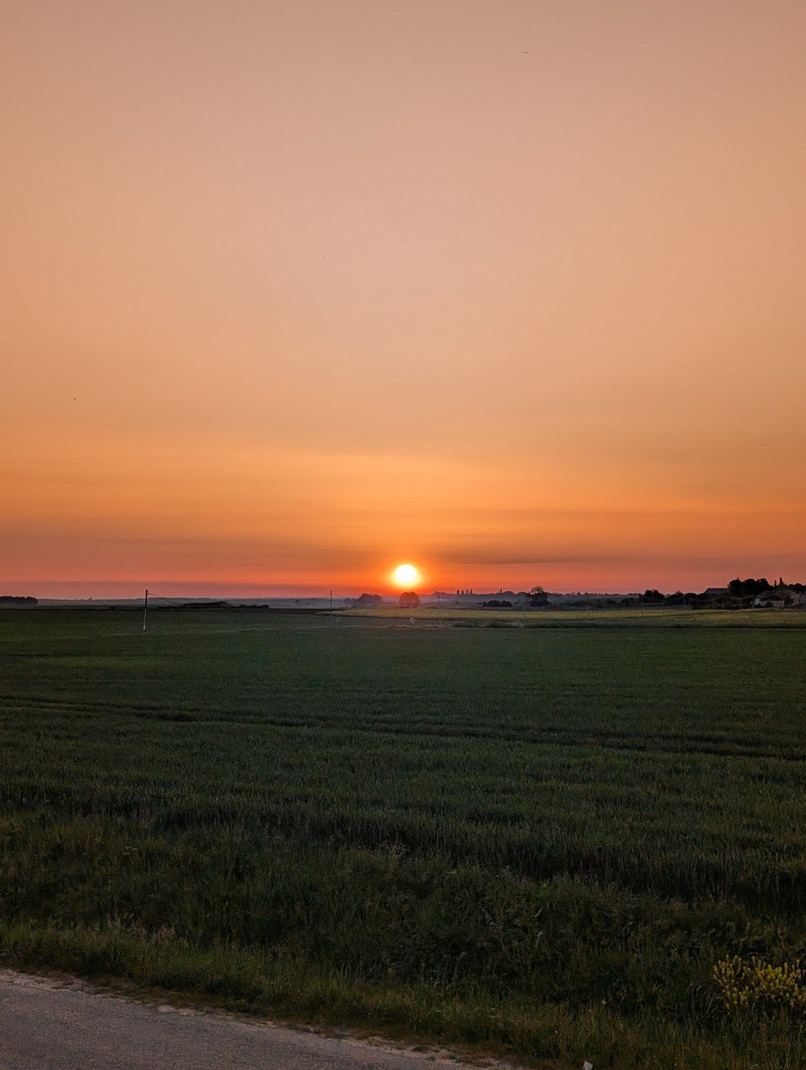 Trainhost's tweet photo. Magnifique lever du soleil ☀️ ce matin sur la #Beauce depuis le #TER860581 en direction d'#Orleans #SNCF #Remitrain @RemiTrain @SNCFVoyageurs @GroupeSNCF https://t.co/EJfhHEHYmn