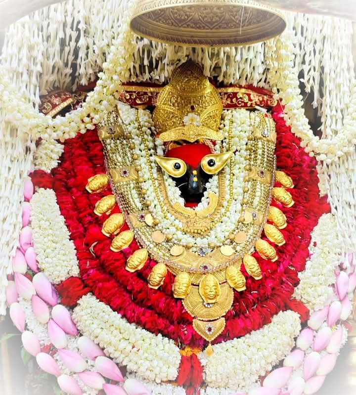 Vaishali Pandit tweet media