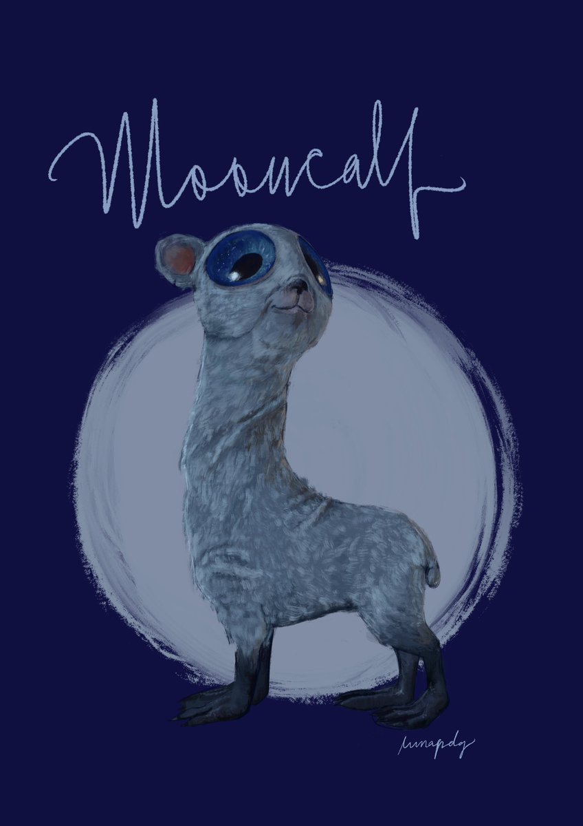 Luna 🐺 tweet media