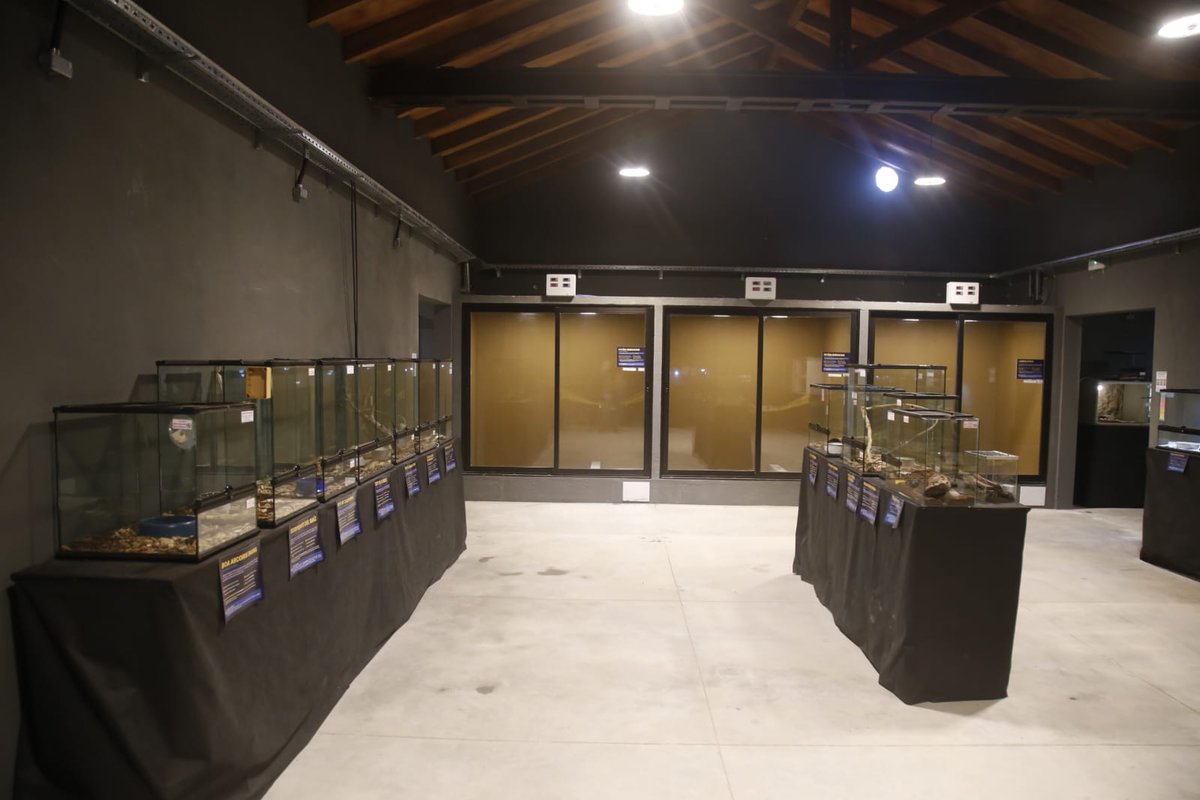 Inauguración de la Remodelacion del Parque de la Cascada y Serpentario Alternatus en Piriapolis!
CONSTRUYENDO FUTURO