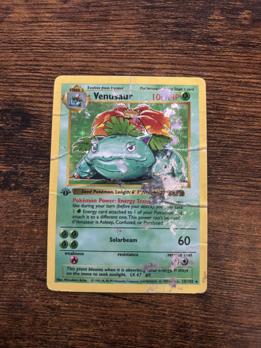 DrunkGuineaPig's tweet photo. @DmgdPokemonGuy I think we both got potential 10s just sitting here. https://t.co/aQnF4NSzs6
