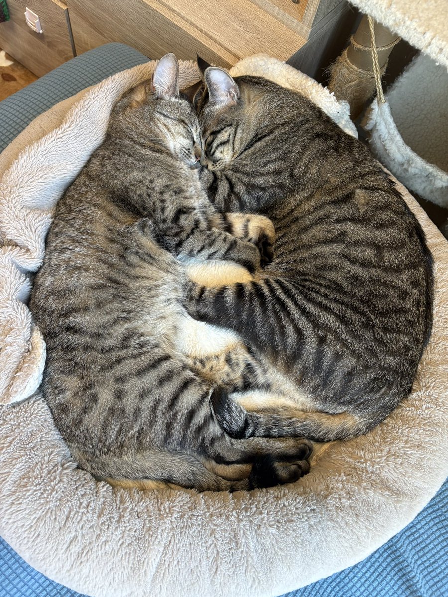 今年のベストショットは
もうこれに決まりました