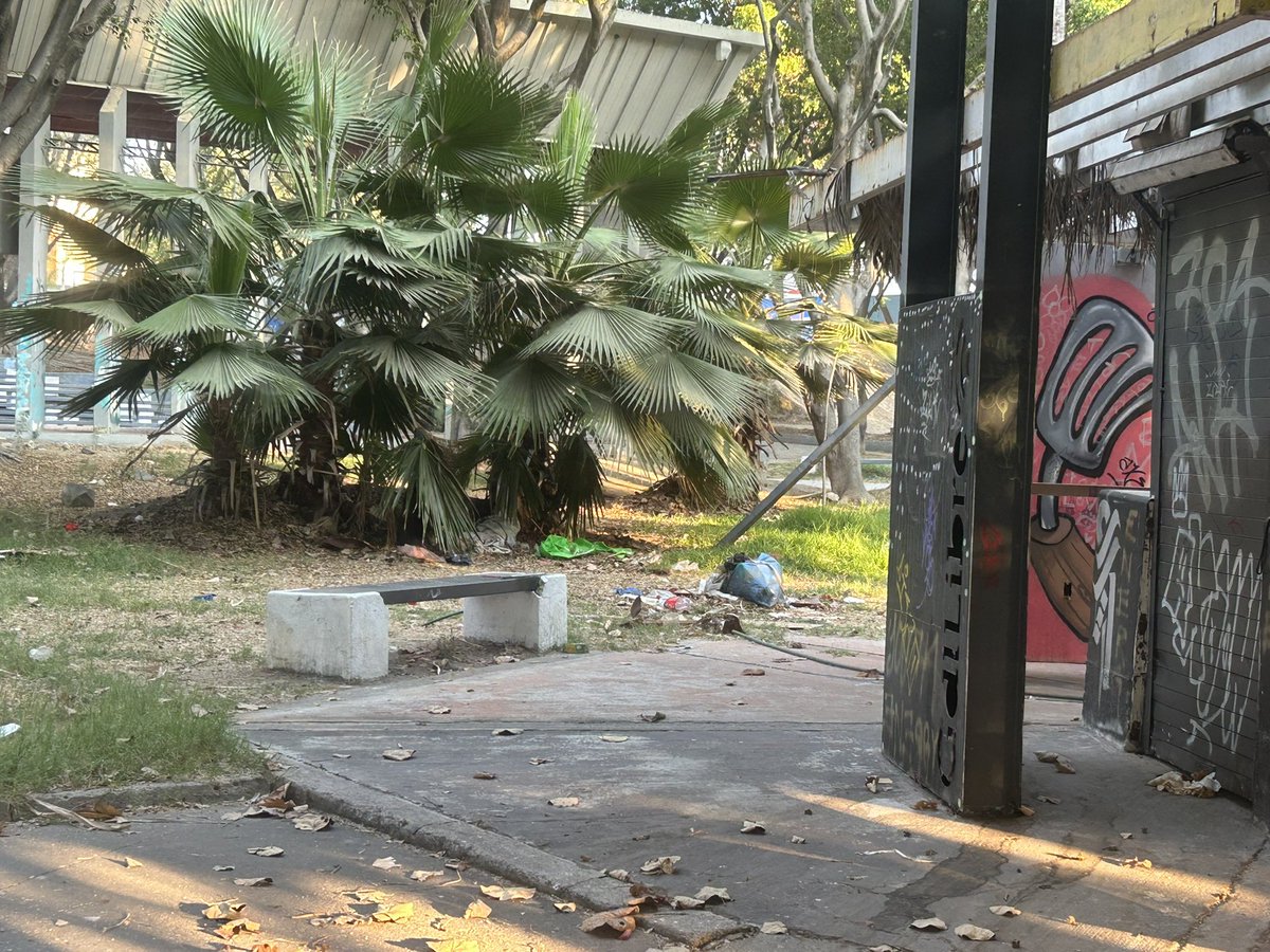 Carmen_Serrano5's tweet photo. @VeroDelgadilloG el parque que está en la esquina de las calles Av Circunvalación y Av Normalistas está en pésimas condiciones los botes de basura se desbordan, una llave de agua que está dentro del área para  perros está rota y el agua se tira, todas las áreas están llenas de https://t.co/XvSc2jkIRo