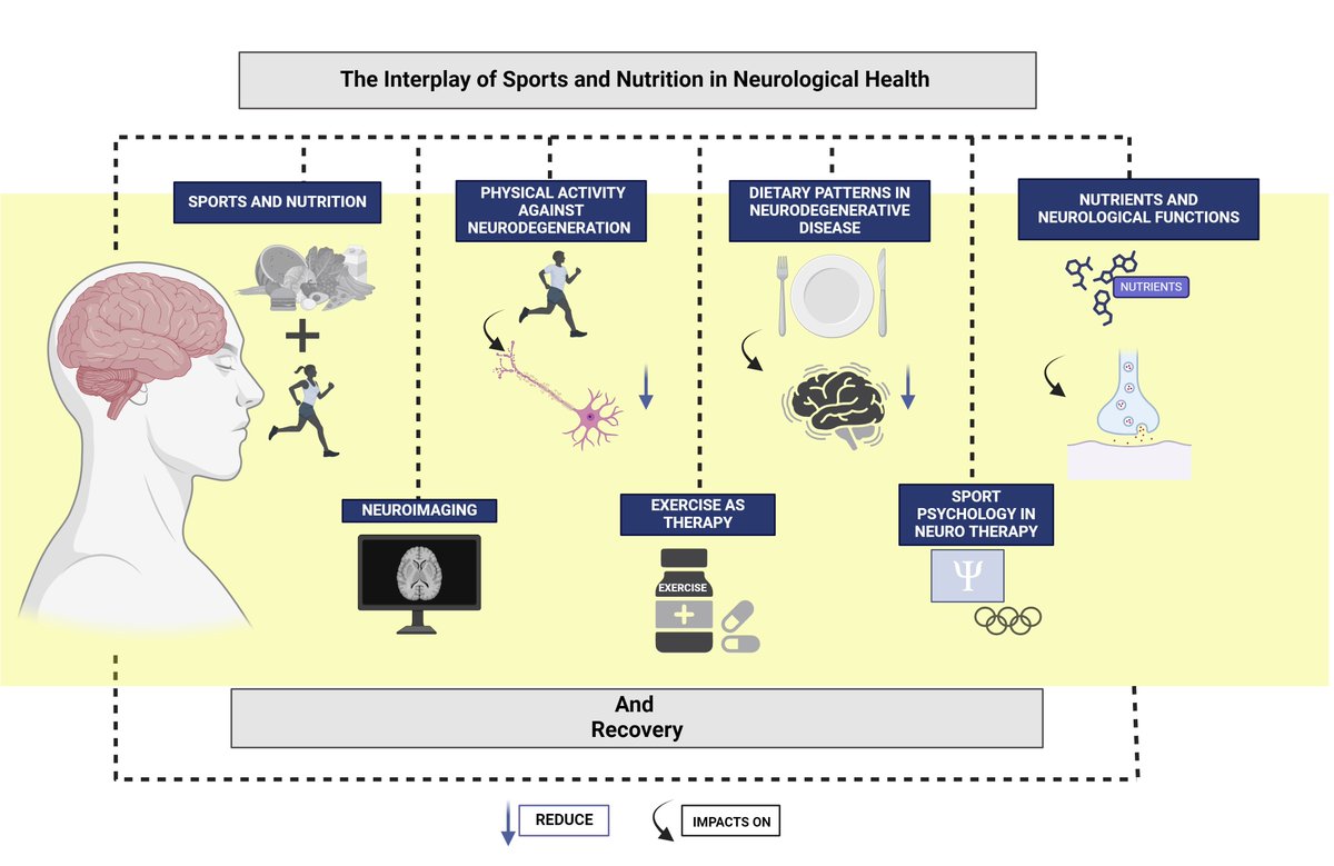 JCM MDPI tweet media