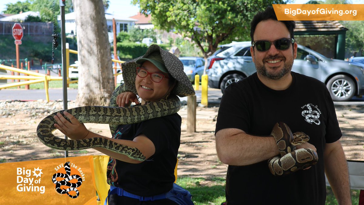 We're in the final stretch of #BigDayofGiving, and the Save The Snakes community is AMAZING! Let's rally together one last time to support global snake conservation. Every gift counts as we head towards the finish line! 🙏🌍 
savethesnakes.org/bigday

 #SaveTheSnakes #California
