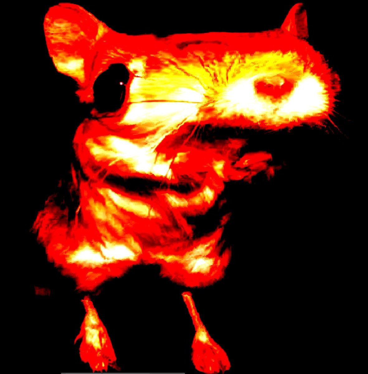 <a href="/GooseworxMusic/">gooseworx gooseworx gooseworx gooseworx gooseworx</a>