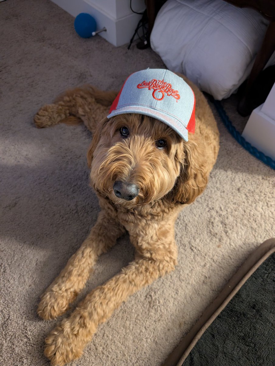 David Britt tweet media