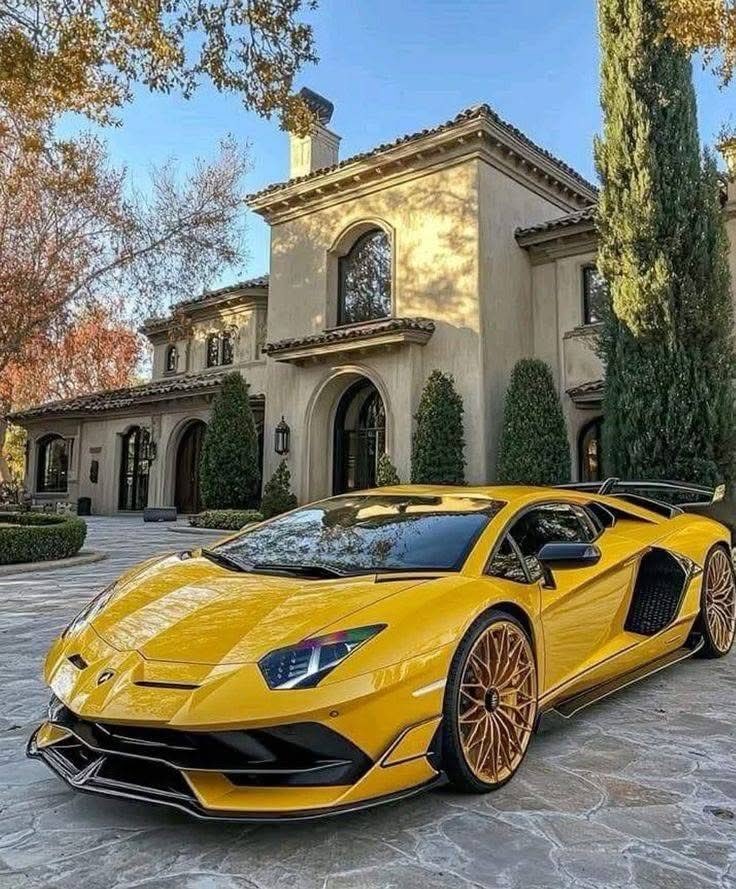 SharpstarX's tweet image. Smash or pass?