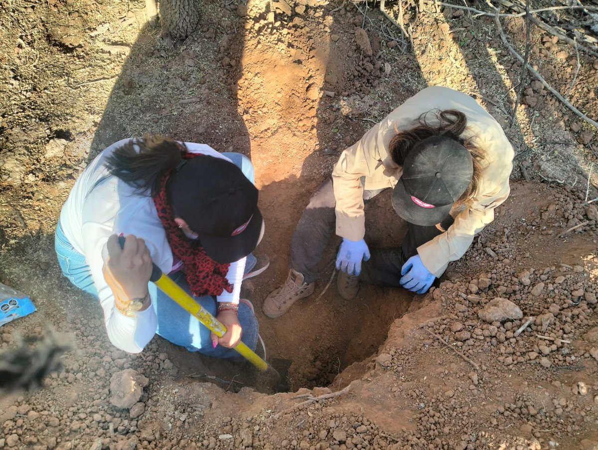 Hoy encontramos una fosa en Hermosillo.

Nunca voy a poder describir lo que siento cuando encontramos un cuerpo: esa mezcla de esperanza, felicidad, tristeza e impotencia se vuelve nuestro motivo de vida.

Le rogamos a las autoridades que hagan todo por identificarlos. Porque de