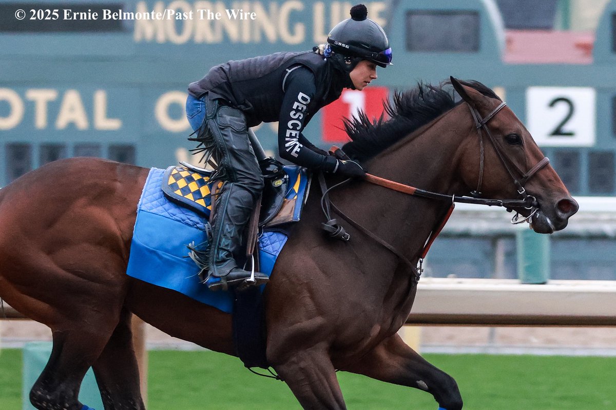 Richi galloping this morning.