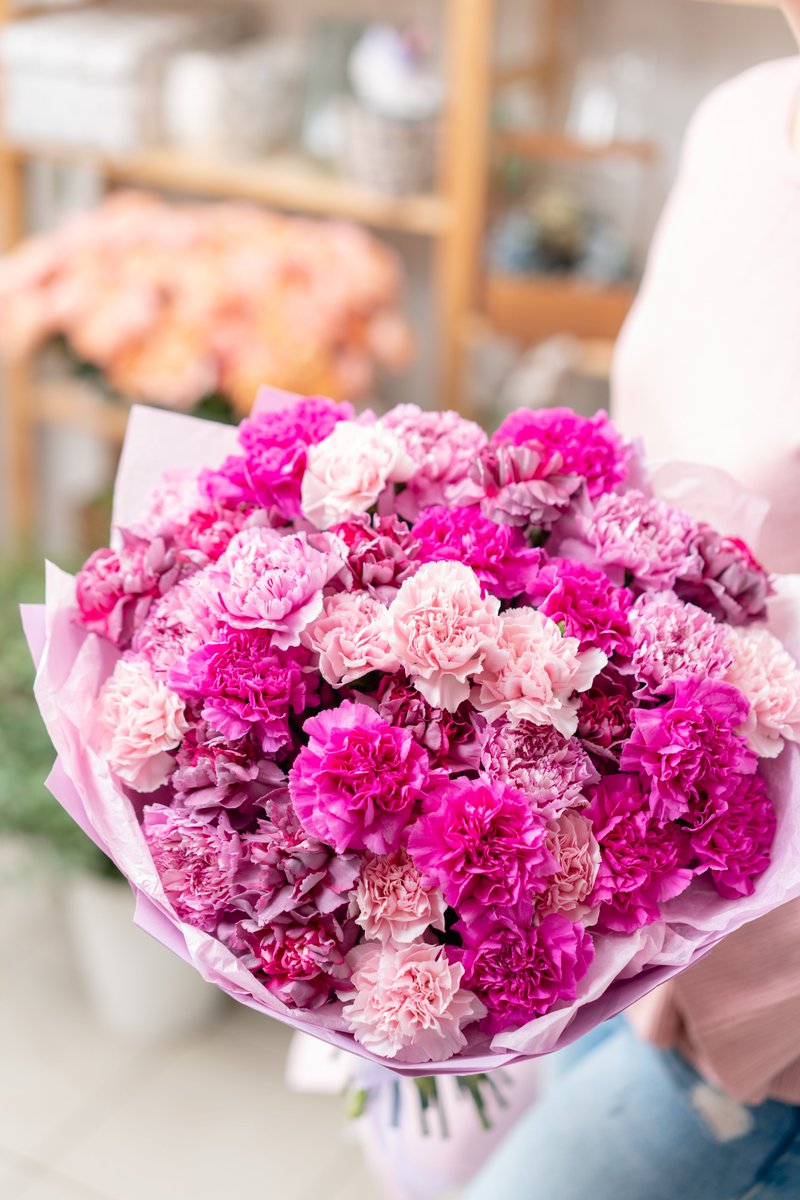 カーネーション #季節の花 ＼ もうすぐ「母の日」がやってきます