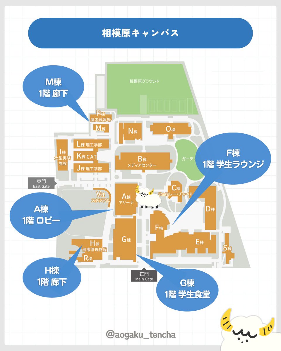 青学 tencha (@aogaku_tencha) / Posts / X