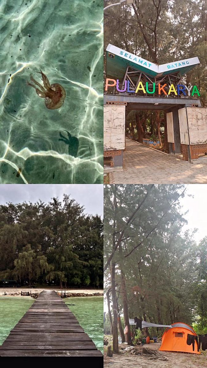 AzadulZ's tweet image. 🌊