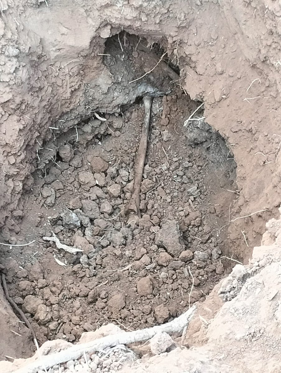 Nuestra búsqueda del día de hoy fue positiva,gracias a las personas que con sus llamadas anónimas nos ayudan a dar paz 🙏🏻

facebook.com/share/p/16TVey…