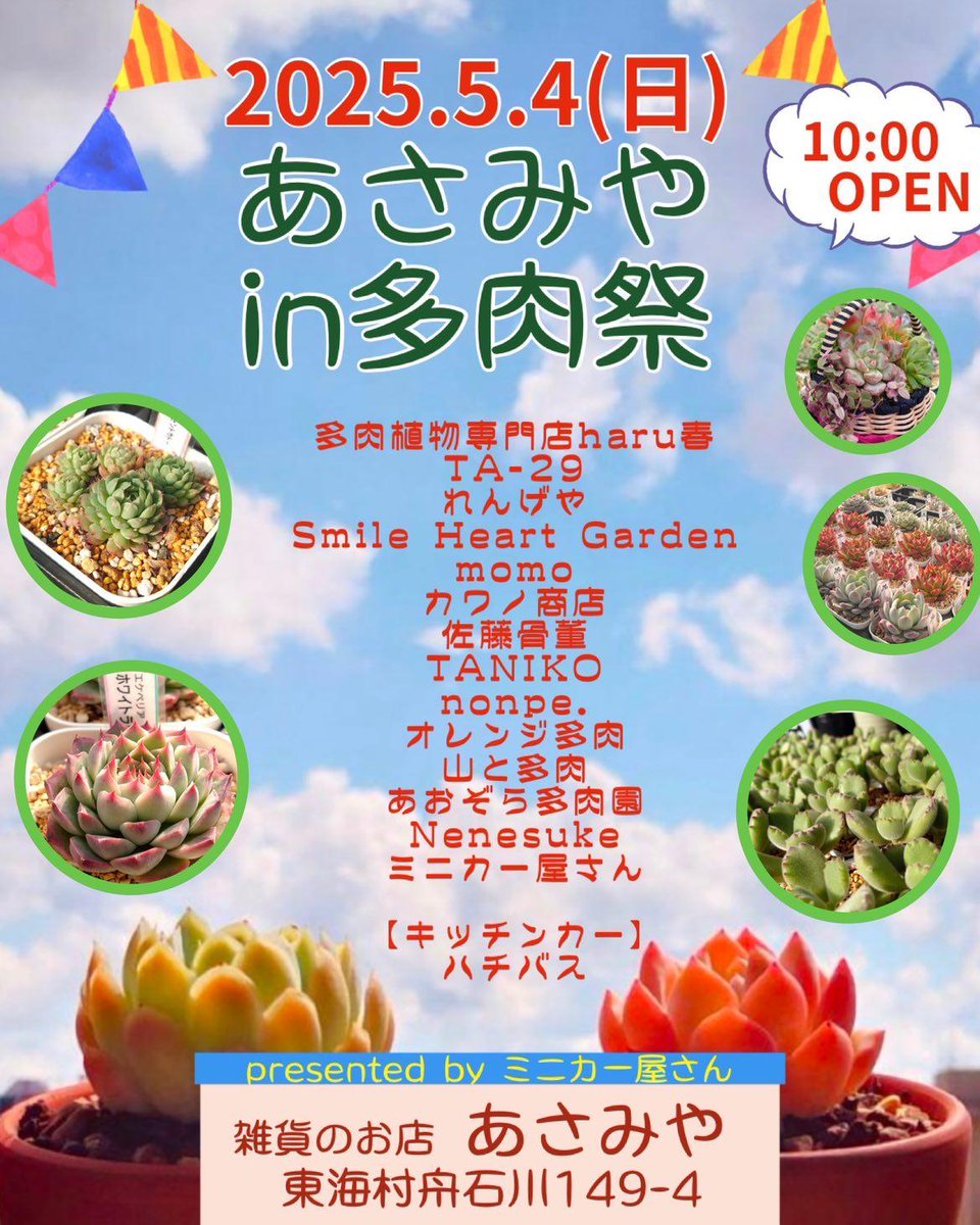 多肉植物専門店 ✾Haru春✾ (@HaruHaru230422) / Posts / X