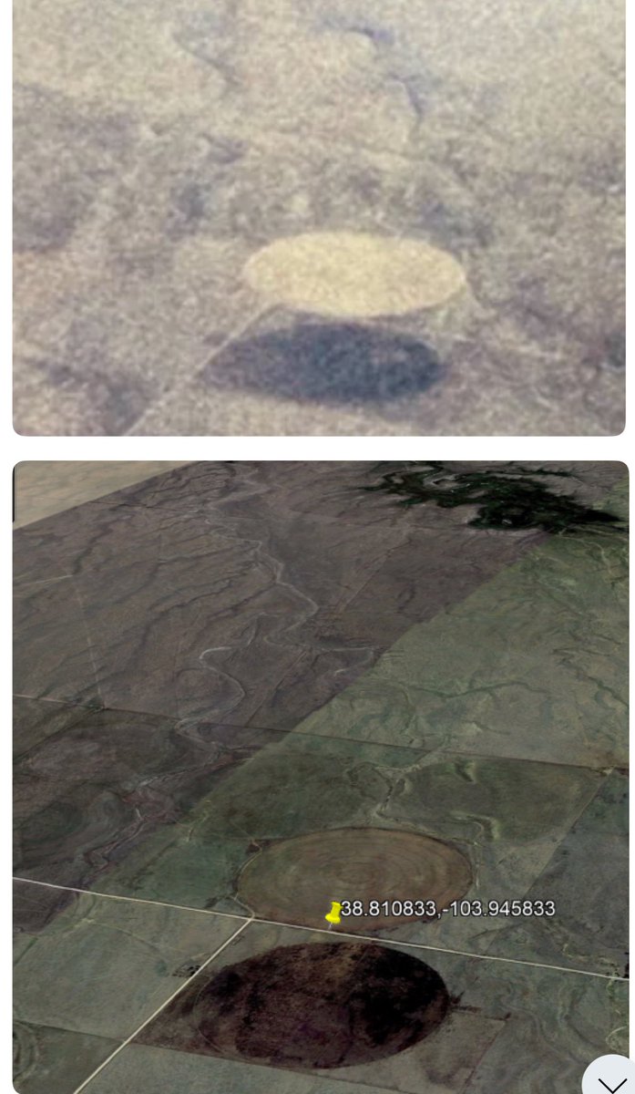 Dr. Disclosure tweet media