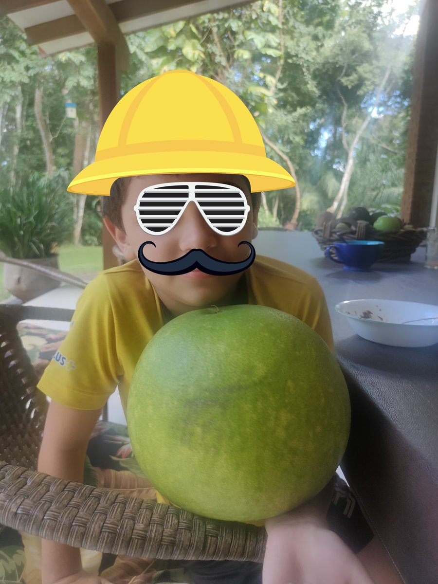 Toronja/grey/pomelo