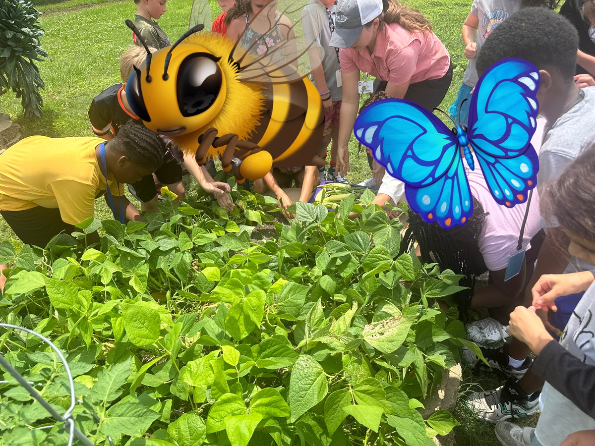 Ms. Mican tweet media