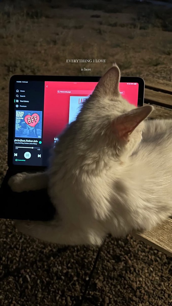 V (@llno6i) on Twitter photo 