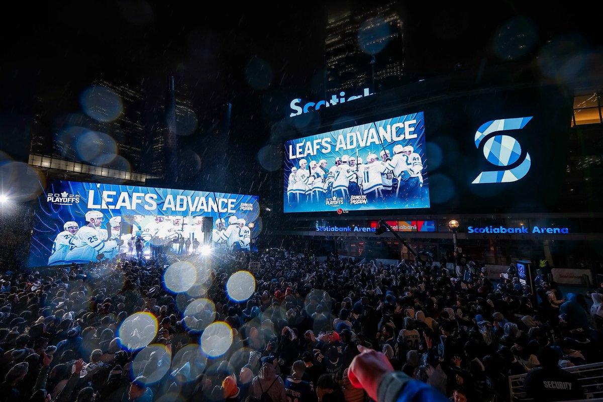 GlamaWayne's tweet image. The Streets are BLUE 💙 
#TorontoMapleLeafs