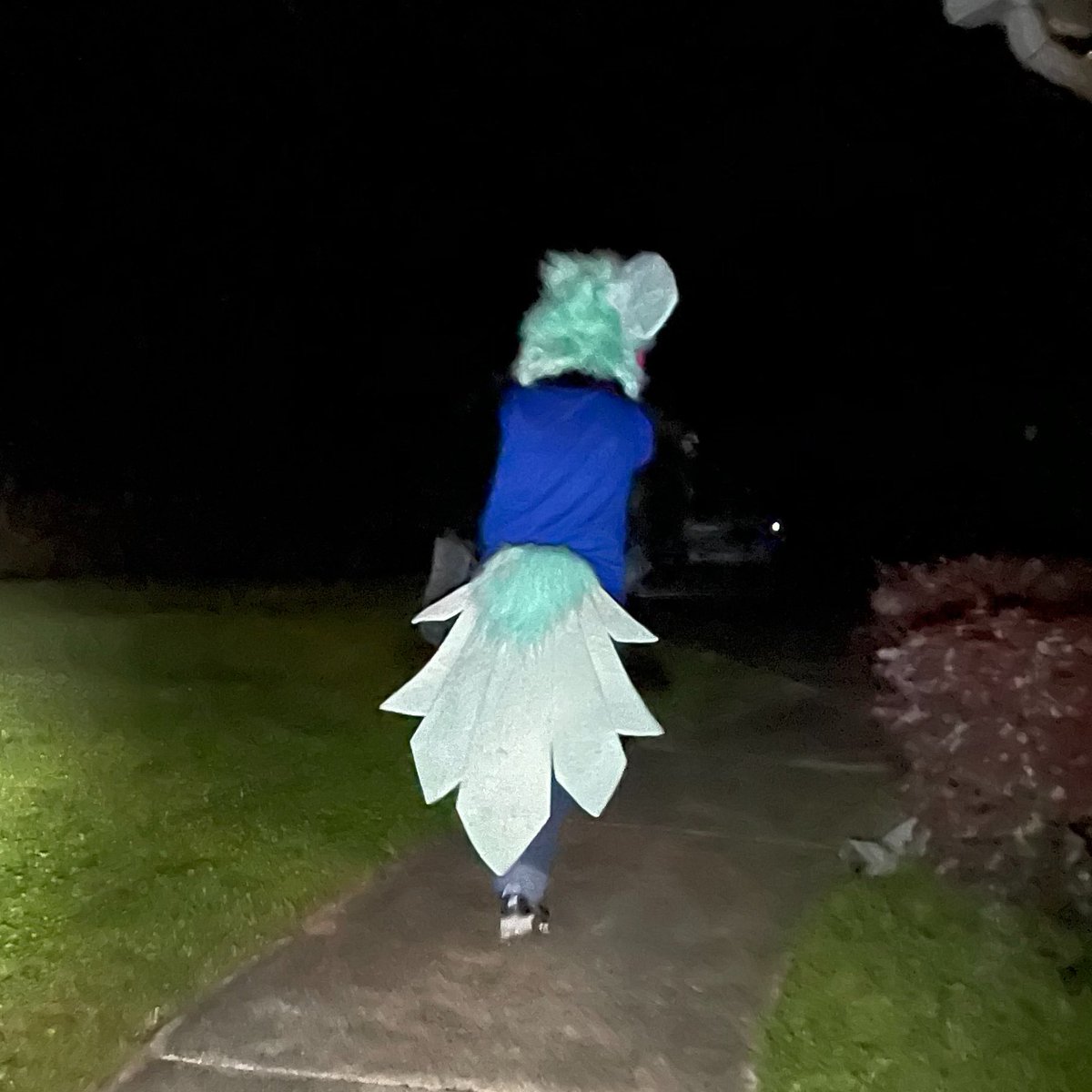 Bird up