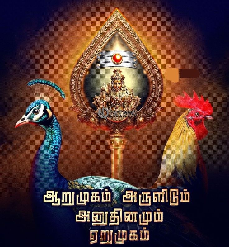 🙏ஓம் முருகா போற்றி 🙏
காலை வணக்கம் மக்களே 🙏💐