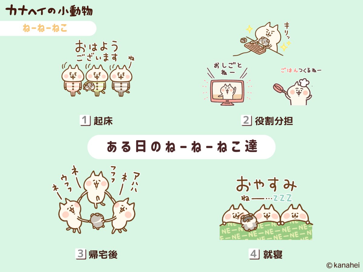 kanahei_animals's tweet image. ある日の #ねーねーねこ の一日
＿＿◣＿＿＿＿◢＿＿

　　　役割分担
＿＿＿＿＿＿＿＿＿＿𓂃
#カナヘイの小動物 #なーなーねこ