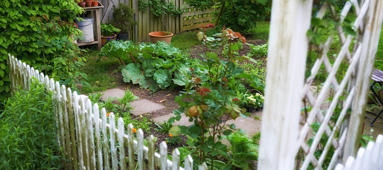 HomePROAnswers's tweet image. Planning a Massachusetts garden renovation?  Our guide offers tips for creating a beautiful &amp;amp; functional space that thrives in all 4 seasons! From drainage solutions to seasonal plantings, we&apos;ve got you covered. homeproanswers.com/blog/seasonal-… #MAGardening #SustainableGardening