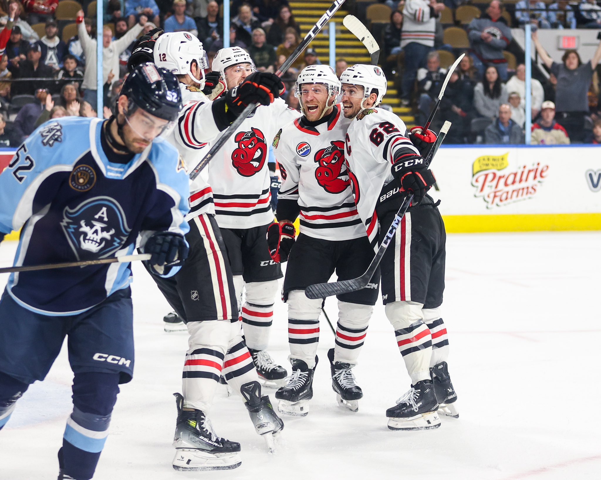 x - Rockford IceHogs (@goicehogs) / X