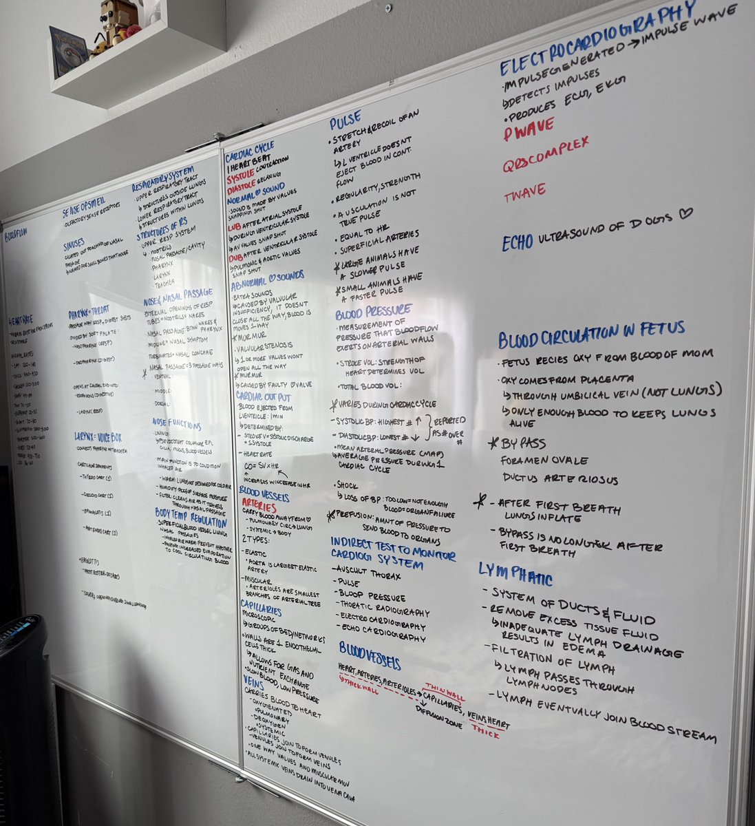 NessiesNotes's tweet image. Passed both of my exams !! 😁 #studytwt