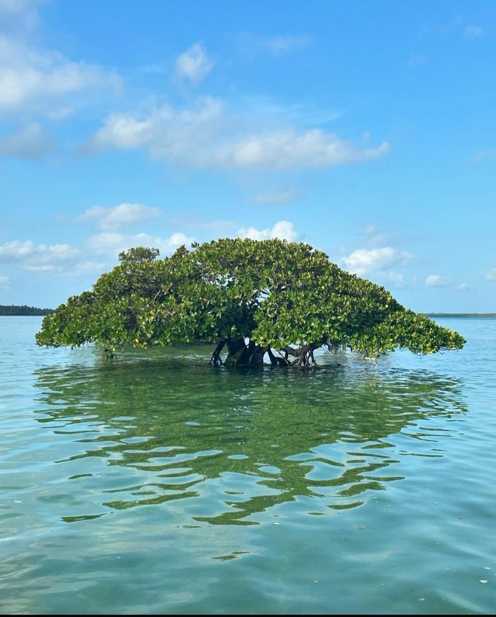 Fukwe Tours Company Ltd tweet media