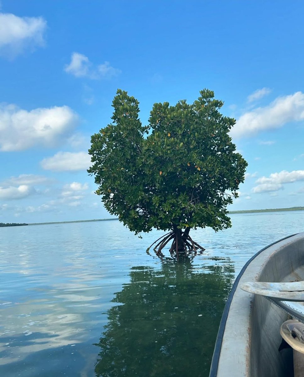 Fukwe Tours Company Ltd tweet media