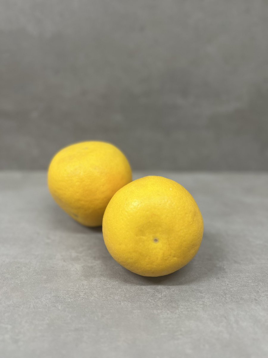 moritani55's tweet photo. 初夏の爽快フルーツ🍋美生柑（みしょうかん）が旬！ジューシーなのに苦味控えめ。冷やしてそのまま、ソーダ割りやヨーグルトにプラスして爽やかリフレッシュ✨

 #美生柑 #旬フルーツ https://t.co/axzHBCHimU