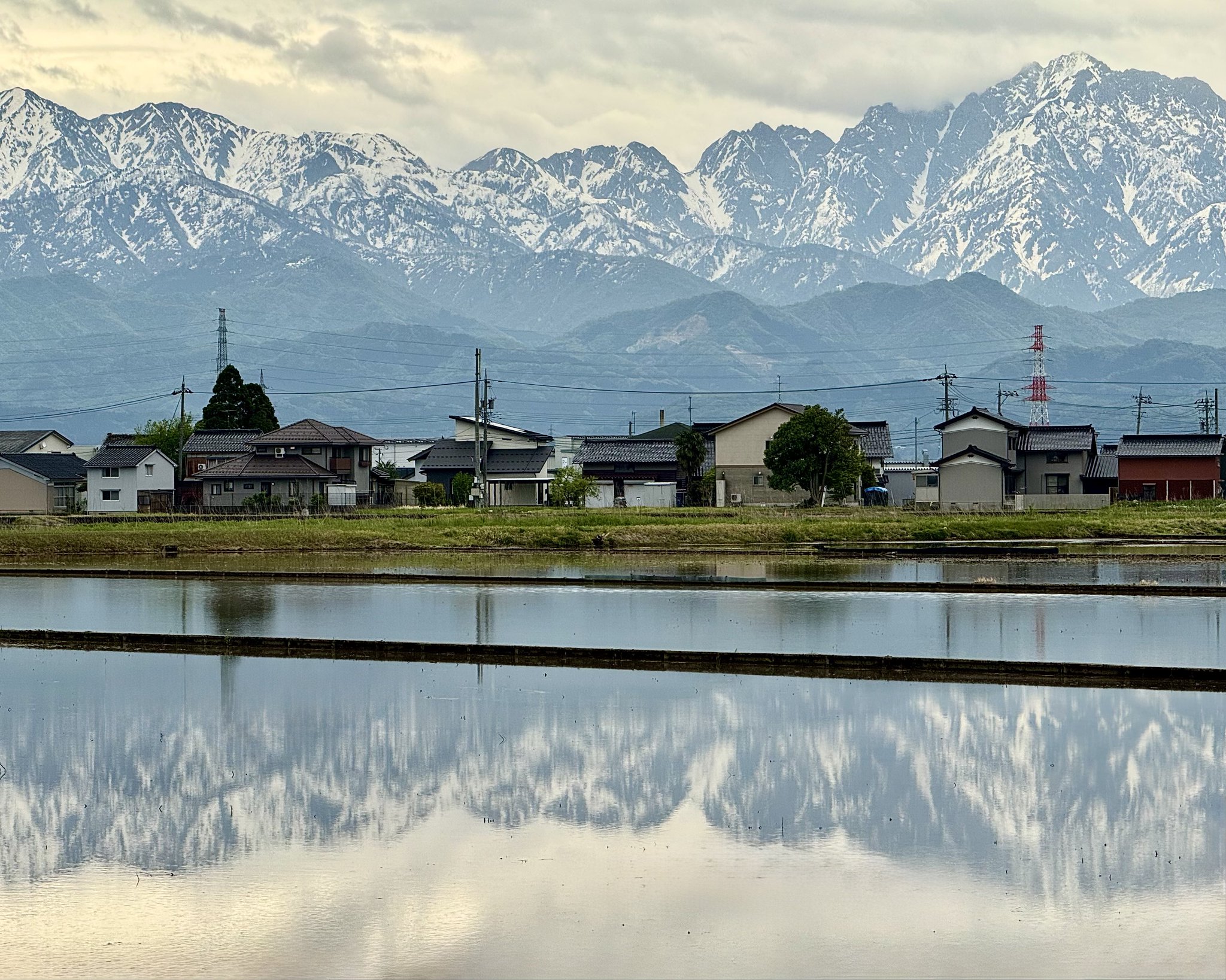 南アルプス、標高三千メートルの山々。仙丈ケ岳から。: 亜甲中玄