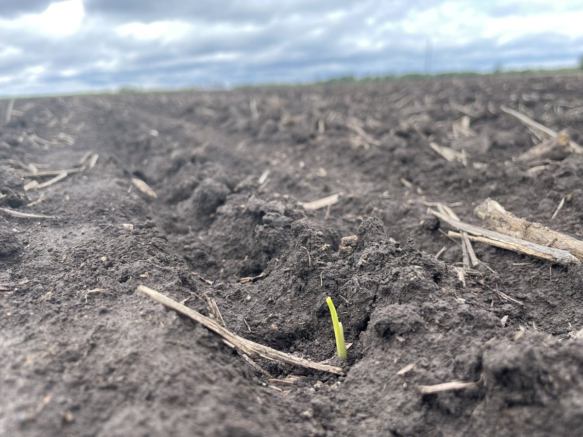 The definition of potential.