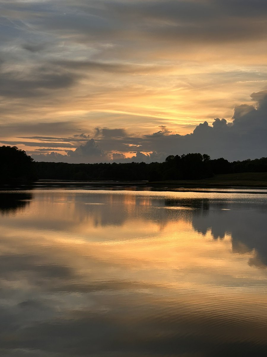 Mai Lee (@muamnkaujlig) on Twitter photo 