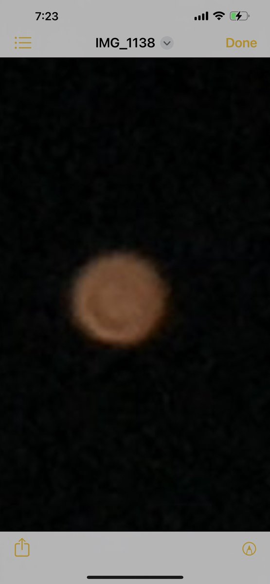 Trumps main man. tweet media