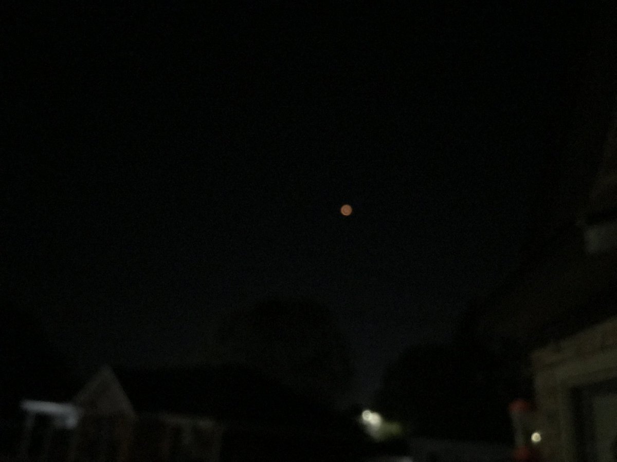 Trumps main man. tweet media