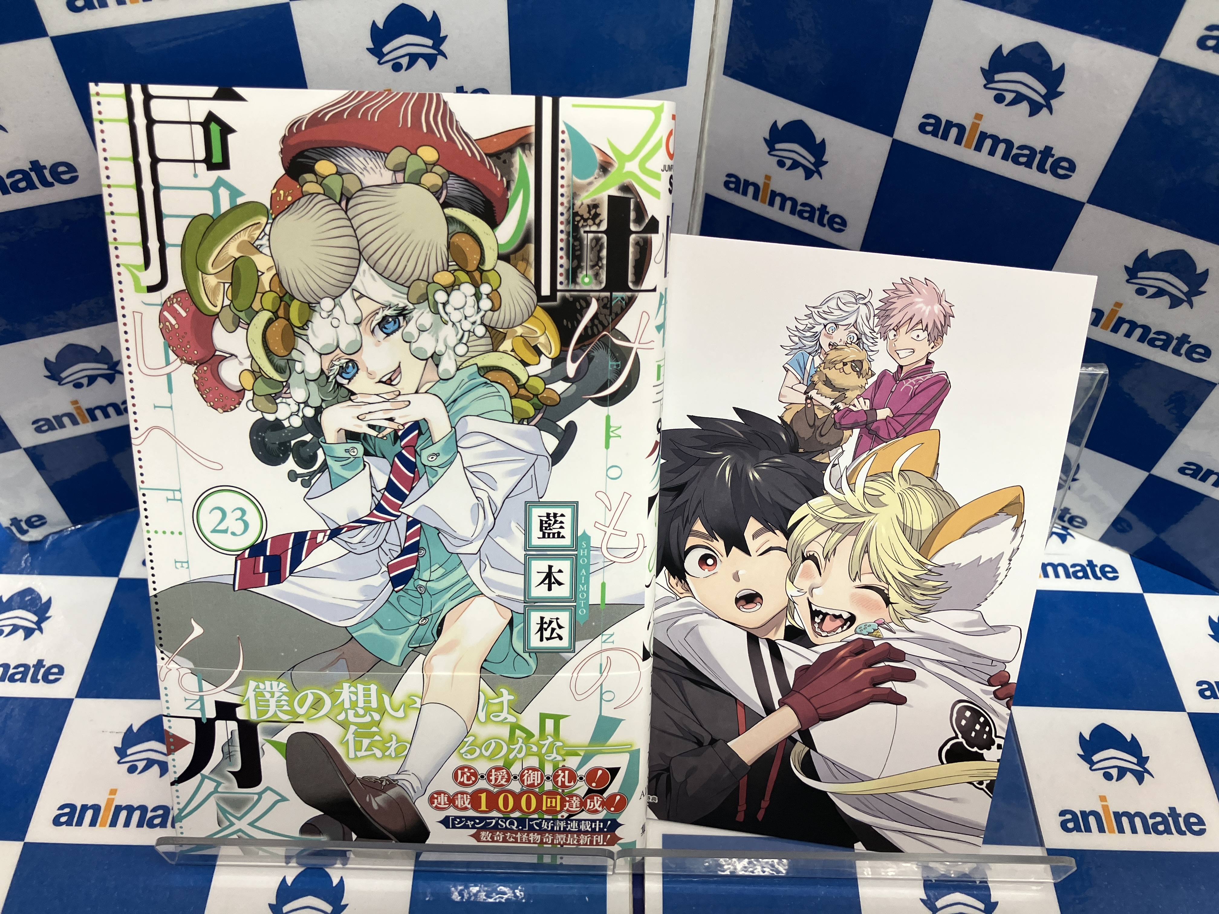 アニメイト蒲田 on X: 