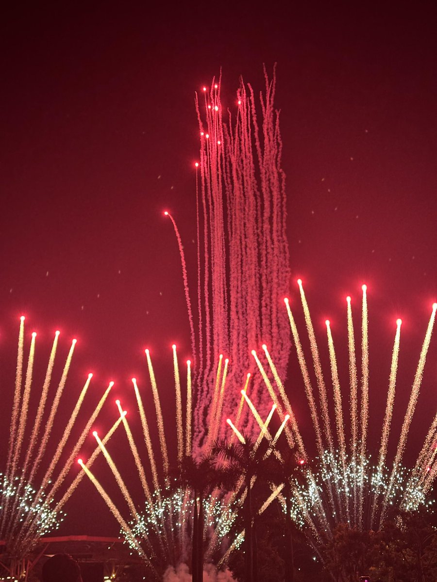 五一园博园的烟花秀。🎉