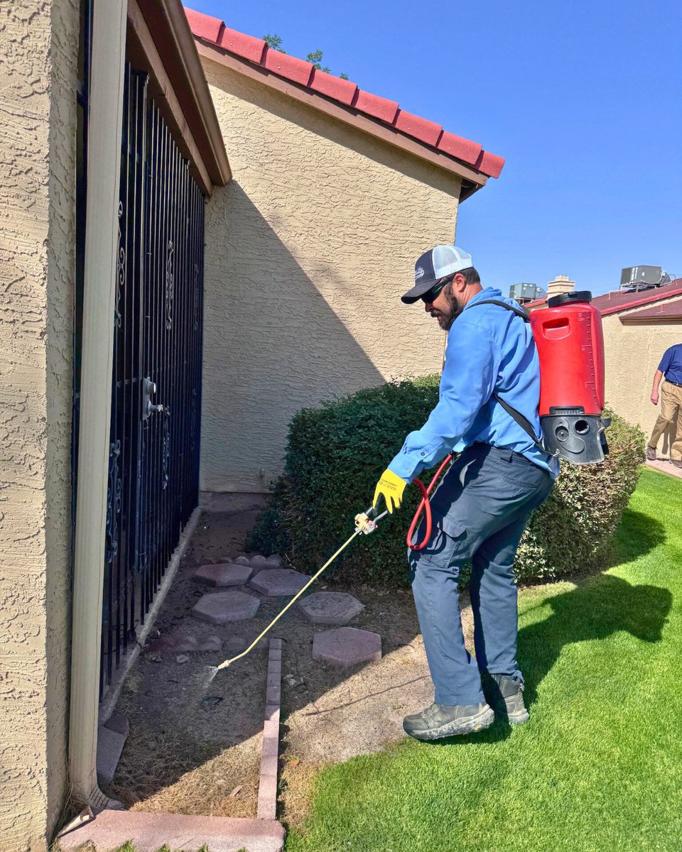 PhxPestControl's tweet image. As AZ heats up, pests like scorpions and ants get active. Varsity keeps them out with expert outdoor pest control. Get your yard protected today!
#ChampionsAgainstPests #VarsityPestControl #OutdoorPestControl #AZPestControl #ScorpionPrevention