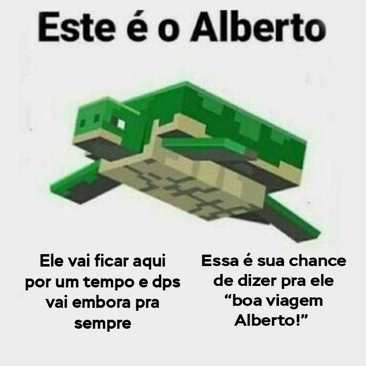 Boa viagem Alberto! #Minecraft #Memes #Brasil #Minecraftbuilds