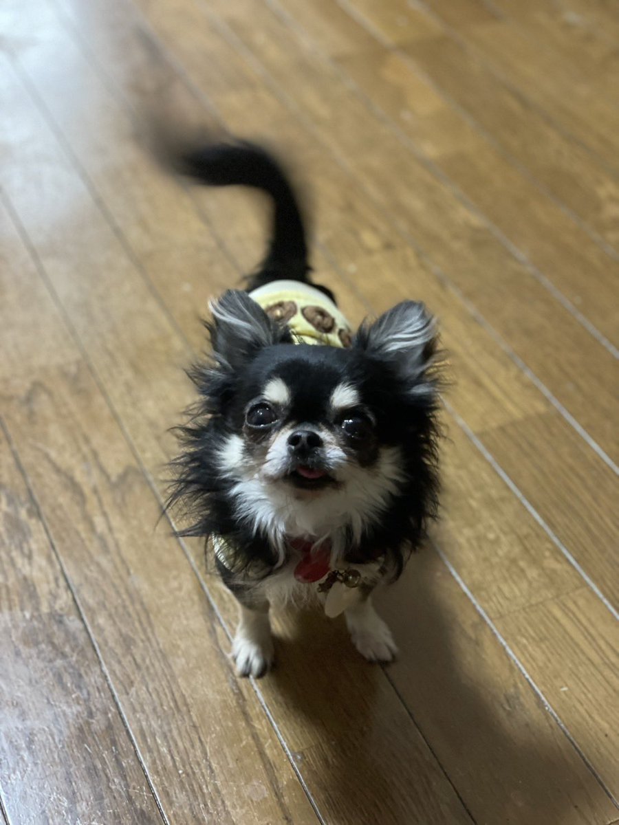 __manachi__'s tweet photo. 推し⸜❤︎⸝‍
本当に愛してる🫶
映画好きな人も先輩ママも同じくらいのママも仲良くしてね\( ö )/♡
ちなみに…コレたんもすき( •ө•)💓
 #映画好きな人と繋がりたい 
 #ママ 
 #コレコレ好きな人と繋がりたい
 #日常垢 https://t.co/tiHnnKp73C