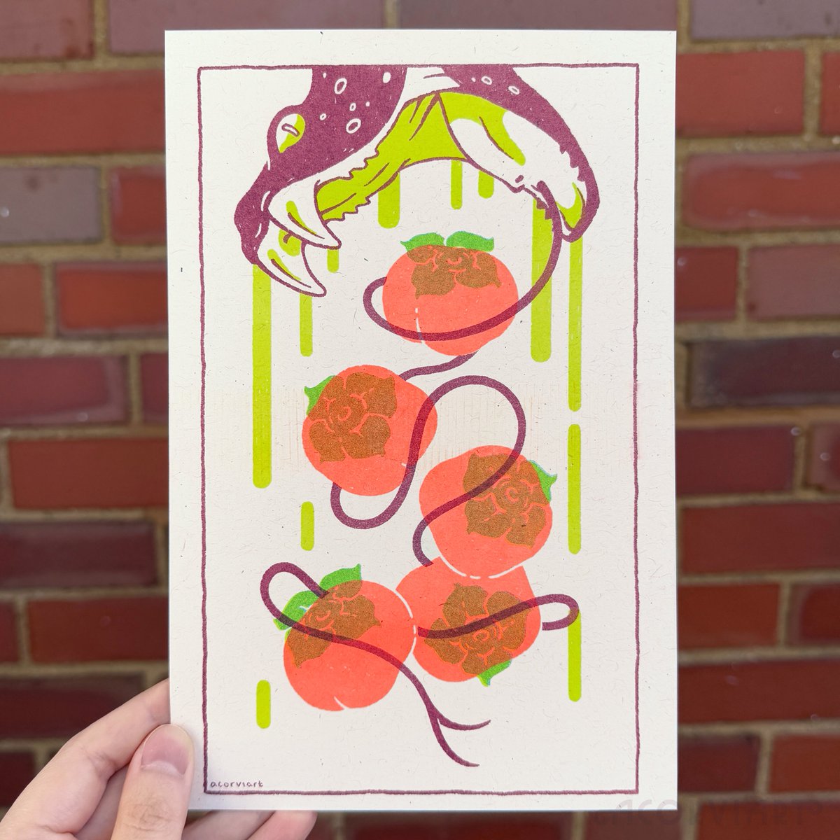 persimmons, riso (fluorescent orange, maroon, light lime, turquoise)

shop update on may 3, 2pm cst