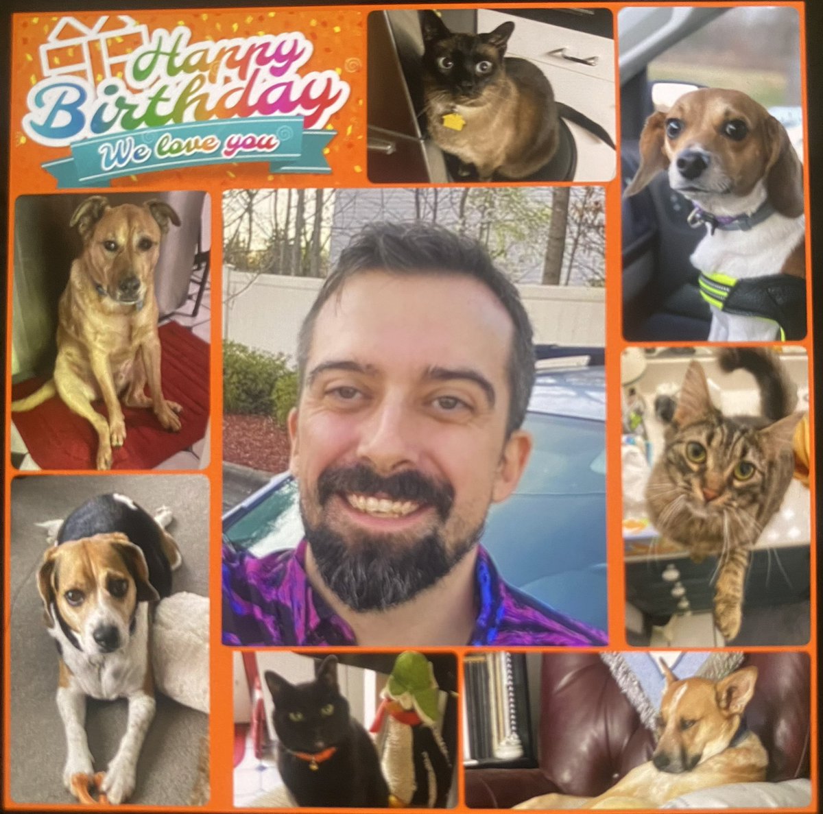 Sherry Reich tweet media